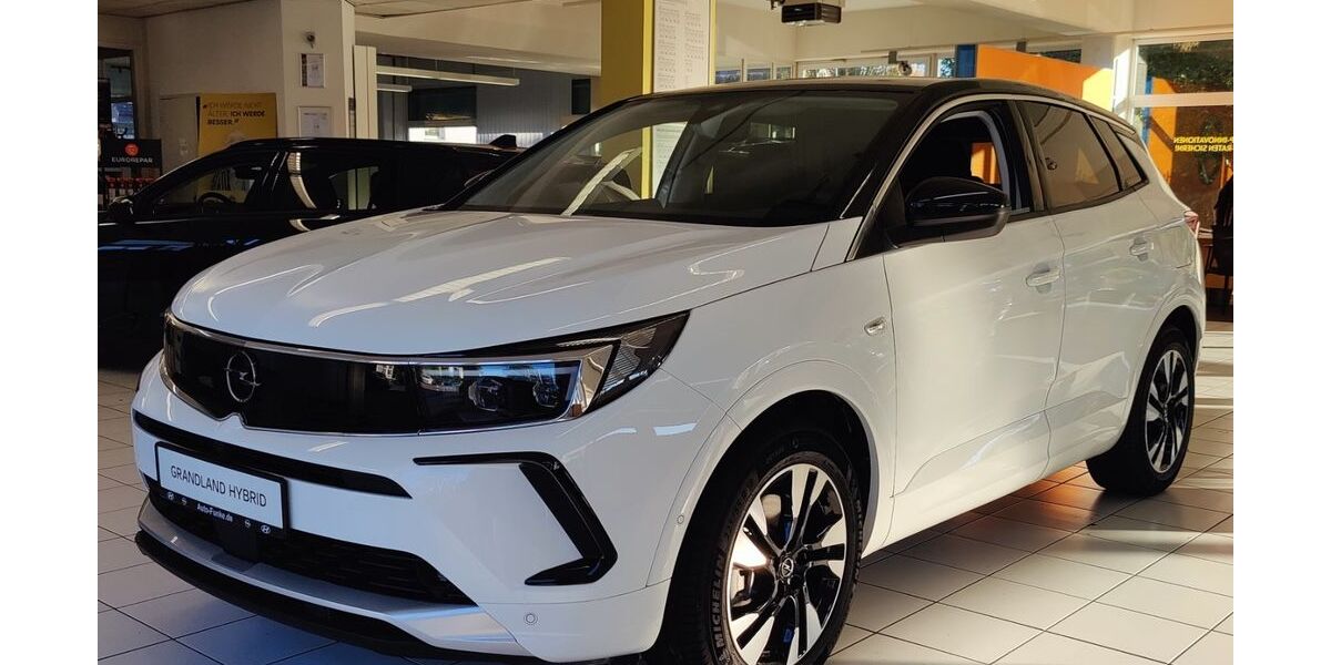 Opel Grandland (X) 15.000 km 32.990 &euro; Ahlen 59229