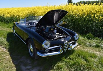 Alfa Romeo Spider 123.456 km 56.000 &euro; Kamen 59174
