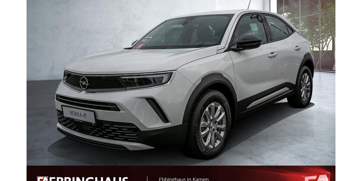 Opel Mokka-e 53.010 km 18.950 &euro; Kamen 59174