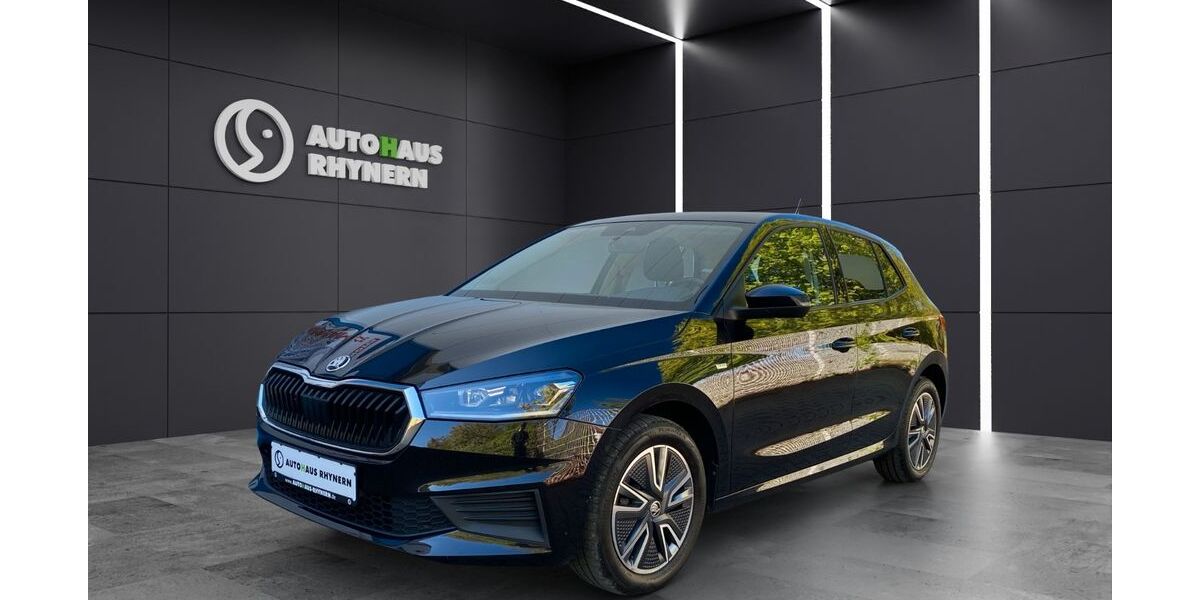 Skoda Fabia 91.200 km 13.690 &euro; Hamm 59069