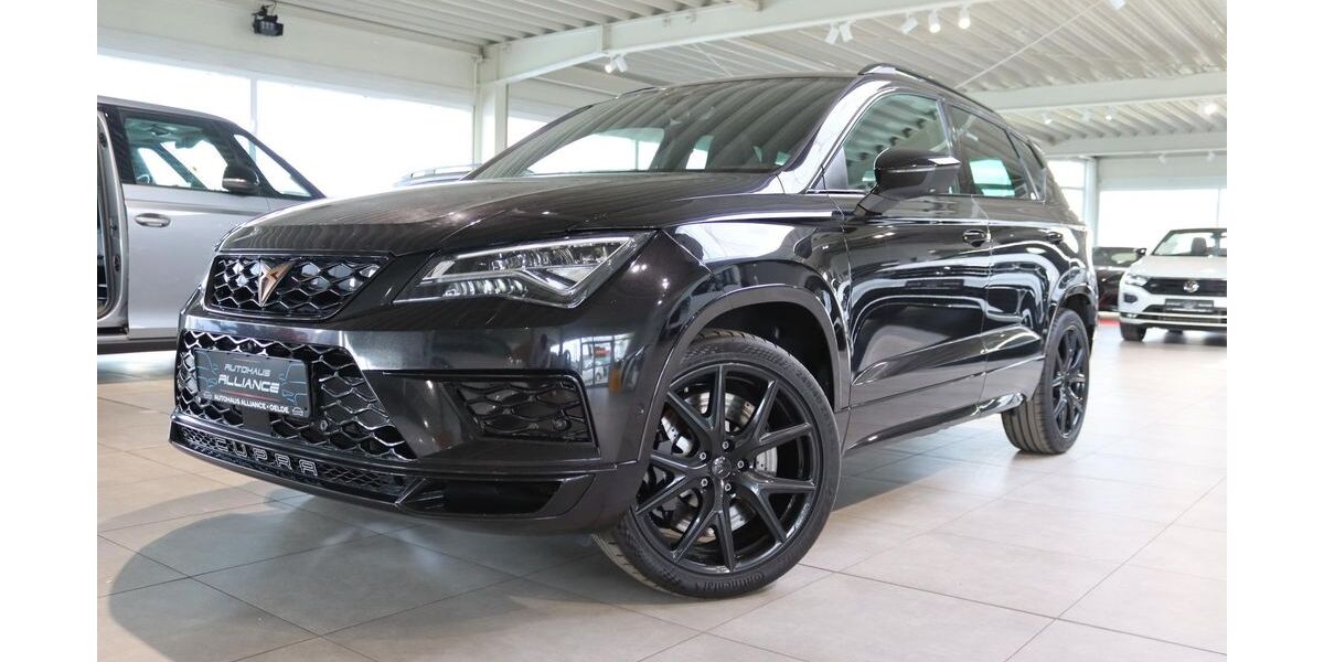 Cupra Ateca 118.900 km 24.990 &euro; Oelde 59302