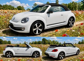 Gebrauchte VW Beetle