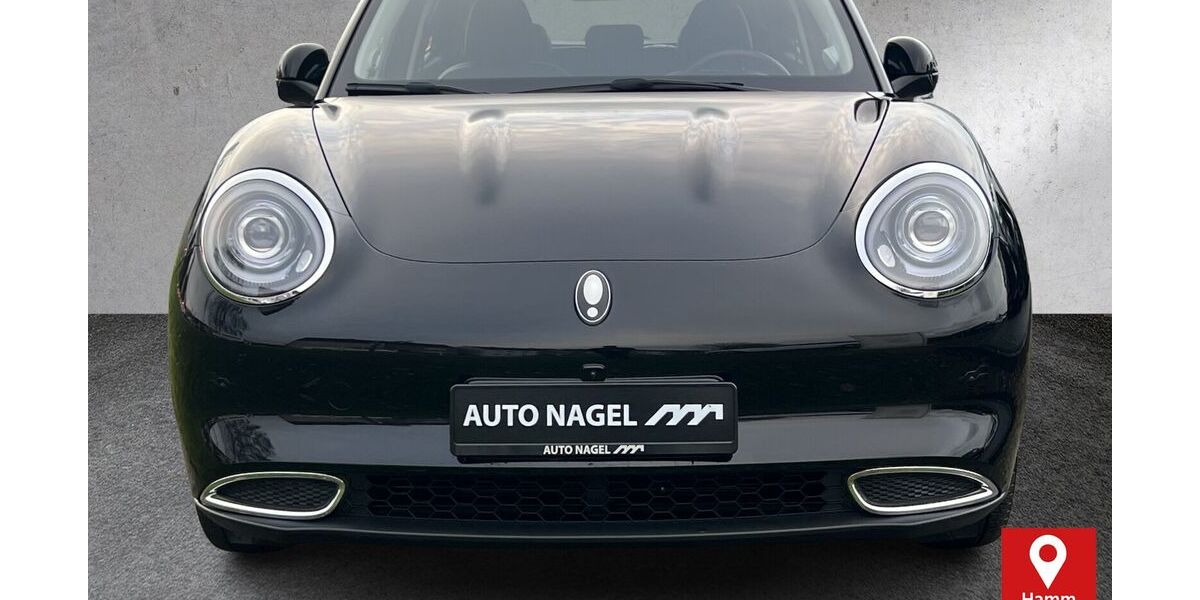 ORA Funky Cat 16.308 km 18.800 &euro; Hamm 59067