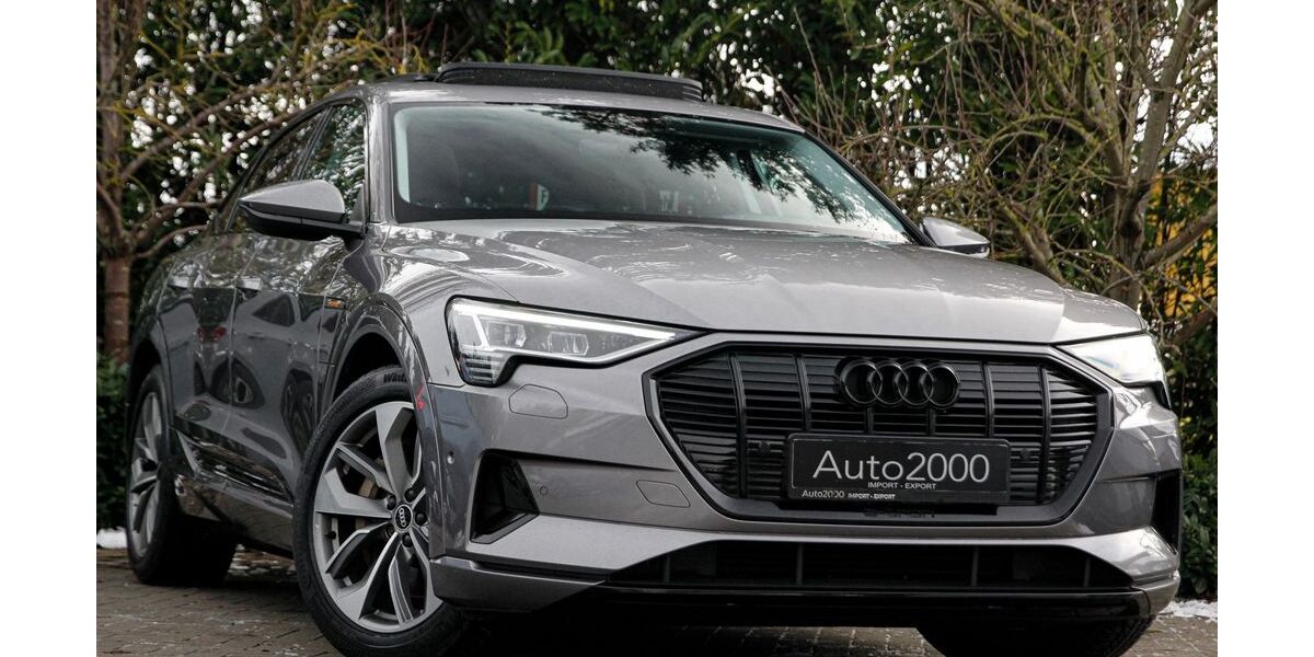 Audi e-tron 189.800 km 21.490 &euro; Unna 59427