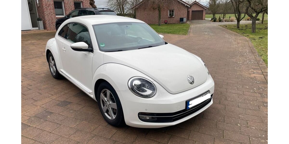 VW Beetle 148.455 km 6.700 &euro; Ahlen-Vorhelm 59227