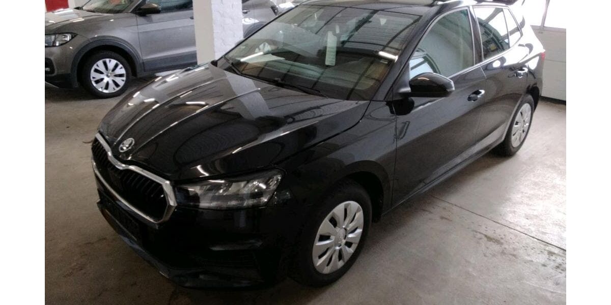 Skoda Fabia 41.550 km 10.988 &euro; Bergkamen 59192