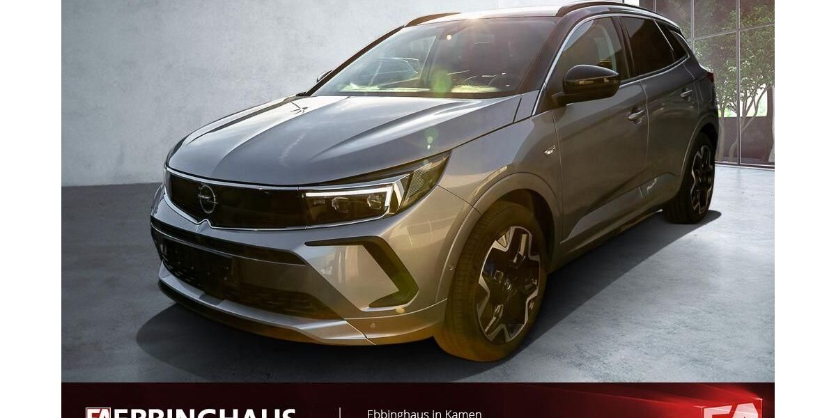 Opel Grandland (X) 75.638 km 22.990 &euro; Kamen 59174