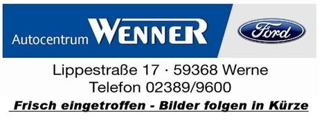 Gebrauchte Ford S-Max