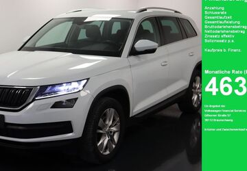 Skoda Kodiaq 128.000 km 21.895 &euro; Oelde (Stromberg) 59302