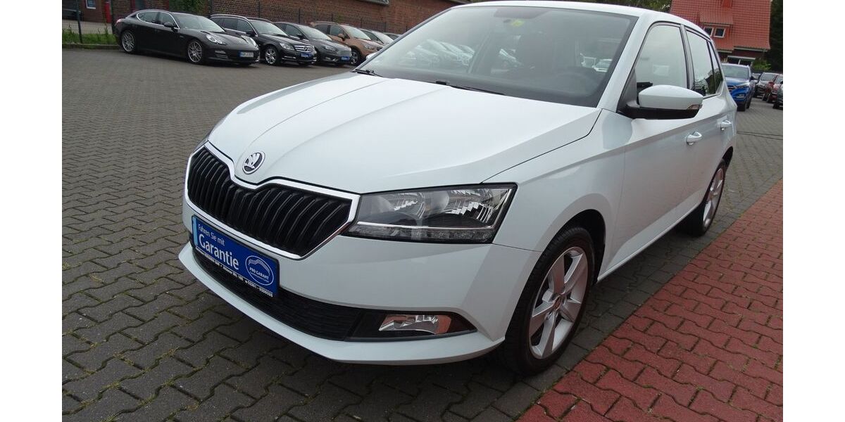 Skoda Fabia 88.000 km 9.980 &euro; Hamm 59073