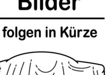 VW Caddy 194.600 km 5.900 &euro; Hamm 59065