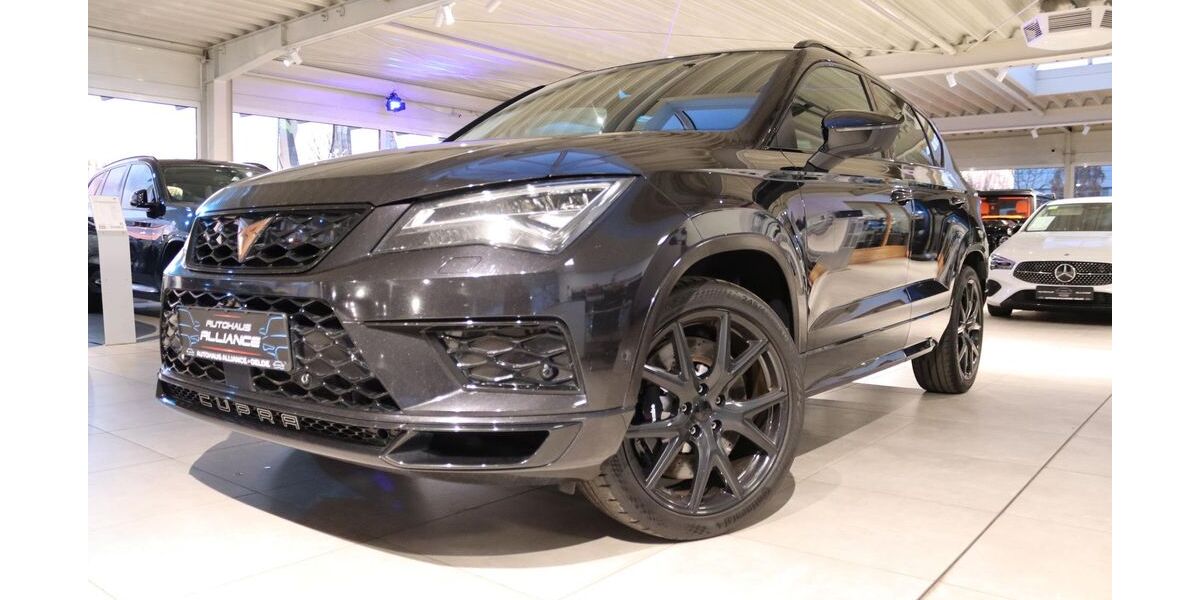 Cupra Ateca 117.950 km 24.990 &euro; Oelde 59302