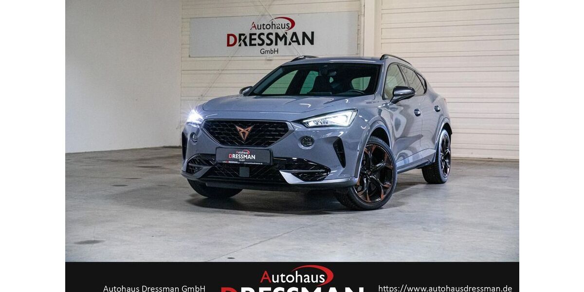 Cupra Formentor 64.800 km 25.634 &euro; Hamm 59067