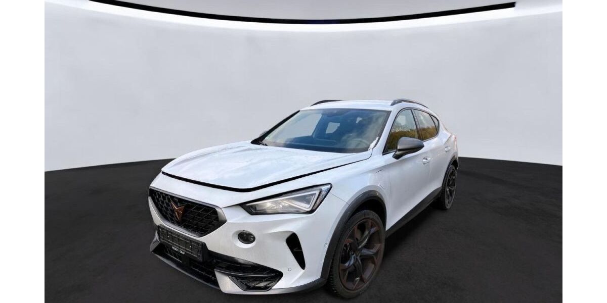 Cupra Formentor 22.344 km 27.949 &euro; Soest 59494