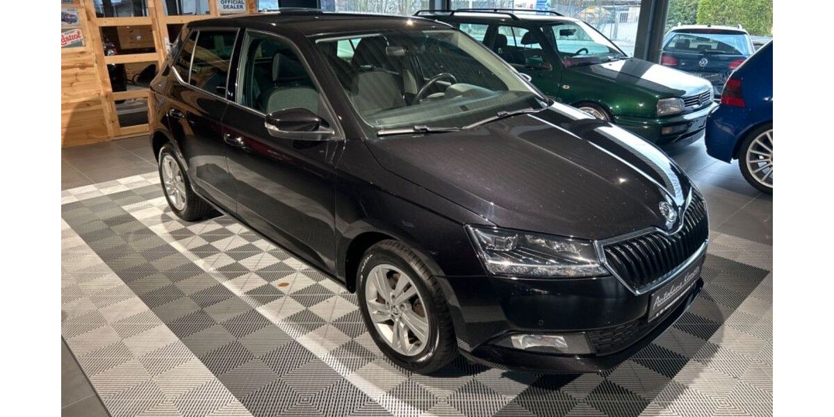 Skoda Fabia 239.800 km 6.200 &euro; Hamm 59073